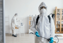 Specialized Pest Control Services to Protect Your Home