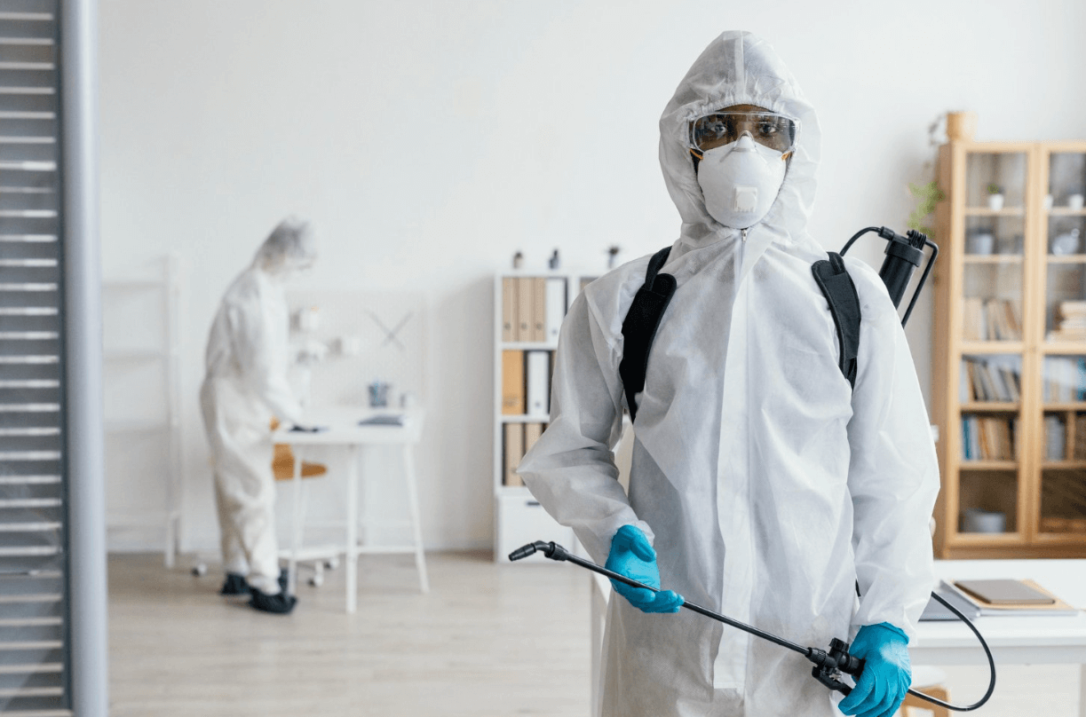 Specialized Pest Control Services to Protect Your Home