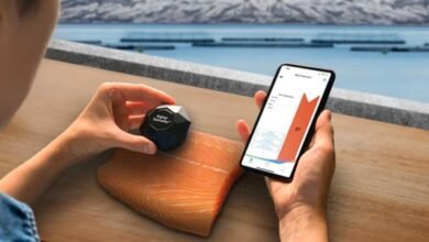 DSM Tool Review: Your Go-To Guide for Dropshipping Wins Kickoff the DSM Tool Review Runs like clockwork, a dropshipping business hinges on flawless stock checks, live prices, and exact listings. This DSM Tool review dives into how the platform takes care of the heavy lifting. Linking a variety of marketplaces to a roster of suppliers, DSM Tool turns routine chores into clicks, freeing up your day and cutting the chance for slip-ups. Whether you’re just stitching together your first store or already running a small empire, we’ll show you how to let DSM Tool boost every layer of your operations. What Is DSM Tool and the Way It Operates DSM Tool sits on the cloud, playing the role of your dropshipping operations command center. It rushes updates on inventory, nudges price tags up or down, and handles the order traffic, all on autopilot. The system pulls the latest product details straight from your supplier and marries them with your storefront, so a product that just ran out never ends up in a cart, and a price jump never eats into your margin. Bypass the constants of cross-posting and the thousand tiny checks by staring at a single, tidy dashboard, and let your business glide from one task to the next. What DSM Tool Brings to the Table Smart Price and Stock Tracking DSM Tool watches your suppliers for stock and price changes and tweaks your listings automatically. This keeps your inventory current and your profit margins intact, sparing you the hassle of constant manual monitoring. Unified Marketplace Management You can connect DSM Tool to eBay, Shopify, WooCommerce, and more, so all your channels stay in sync. A single update in the tool ripple effects to every marketplace, saving you clicks and keeping your offers uniform. This review of DSM Tool offers detailed instructions on how to use the platform for successful dropshipping. Bulk Product Import Loading dozens of items at once is a breeze with DSM Tool. Grab product links from your supplier, upload them in a batch, and your catalog grows without the usual marathon of data entry. Seamless Order Handling Place, track, and update orders automatically, and the tool keeps your customers in the loop. You spend more time nurturing relationships and less time juggling spreadsheets. Why DSM Tool Is a Smart Fit Less Room for Error Live inventory updates mean listings stay accurate, which cuts down on cancellations and the bad ratings that come with them. Margin Shielding You set profit goals, and DSM Tool’s repricing rules kick in when supplier costs shift, so your margins stay where you want them. More Time for Strategy When routine tasks run on autopilot, you reclaim hours every week to work on growth instead of hovering over listings. Who Should Use DSM Tool Beginner Dropshippers Starting out? DSM Tool lifts the burden of repetitive updates, letting you chase sales and dive into market research instead of getting bogged down in the details. Large-Scale Sellers If you carry hundreds or thousands of listings, DSM Tool’s automation locks in consistent pricing and stock levels across the board, so you don’t need to keep adding more people to the team. Multi-Supplier Sellers When you juggle several suppliers, DSM Tool brings all the updates into one dashboard, making it straightforward to keep inventory accurate no matter where the stock originates. How DSM Tool Compares to Competitors DSM Tool vs Skugrid Skugrid does real-time tracking really well. DSM Tool, however, shines in creating listings and bulk uploads, so you can load up new products much faster. DSM Tool vs AutoDS AutoDS automates all kinds of tasks, but DSM Tool lets you tinker more with listing templates and branding, making it the go-to for sellers who want to project a polished image. DSM Tool vs PriceYak PriceYak is all about Amazon-to-eBay, while DSM Tool plays across more marketplaces and suppliers, giving you the flexibility to sell wherever you want without missing a beat. Drawbacks of DSM Tool Learning Curve There’s a bit of a ramp-up time for newcomers to get comfortable with all the settings and automation options. Once the initial configuration is done, though, the tool operates without a hitch. Monthly Subscription For someone just starting out, the monthly fee may sting at the outset, but the combination of time regained and fewer manual mistakes usually makes the investment pay off sooner rather than later. Supplier Reliance As with any automation platform, the tool’s speed and precision hinge on how often suppliers revise their listings. If a supplier drags their feet on updates, a few mismatches can still sneak through. Best Uses of DSM Tool Define Pricing Rules Leverage the repricing module to lock in minimum profit thresholds, shielding your margins from sudden supplier increases. Run a Pilot Group Instead of flipping the switch on your whole inventory, kick off the tool with a small selection of items. This way, you can confirm that updates are flowing as expected. Review Reports Consistently Make it a habit to scan DSM Tool’s reports for signs of trouble, like lagging updates or stock discrepancies, so that you can course-correct before problems escalate. Final Verdict on DSM Tool DSM Tool stands out as a solid, dependable automation suite for dropshipping. Its inventory control, price tracking, and bulk-upload capabilities equip sellers at any level for smooth, efficient scaling. The app does require a bit of ramp-up time and has a modest monthly cost, but the faster, error-free operations pay back that investment swiftly. For anyone looking to tighten up their dropshipping workflow, this review suggests DSM Tool could be the reliable automation ally you’ve been searching for.