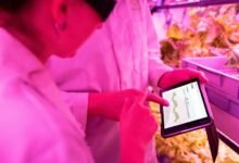 digital growth enhancement tools